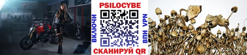 Галлюциногенные грибы MAGIC MUSHROOMS  mega ТОР  Арск 